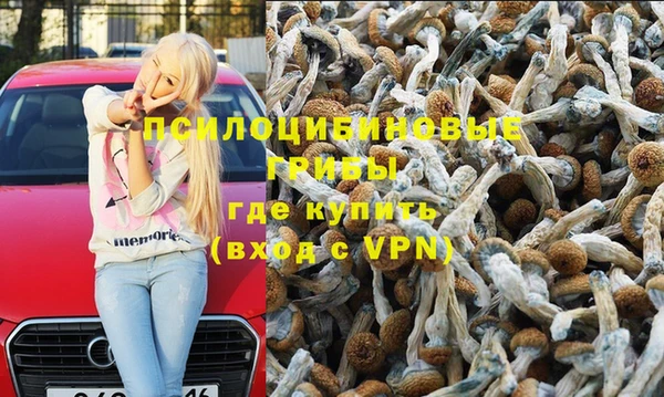 ALPHA PVP Алексеевка