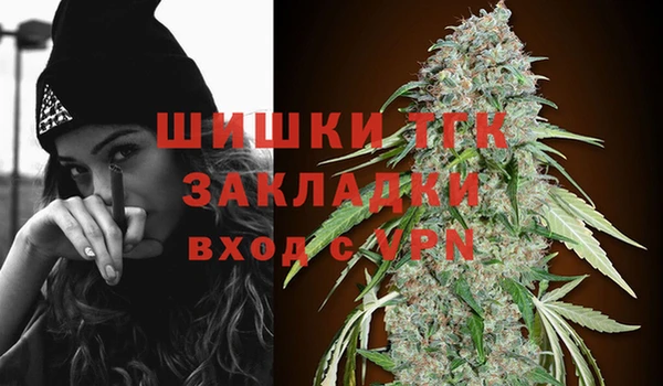 молекула духа Покров